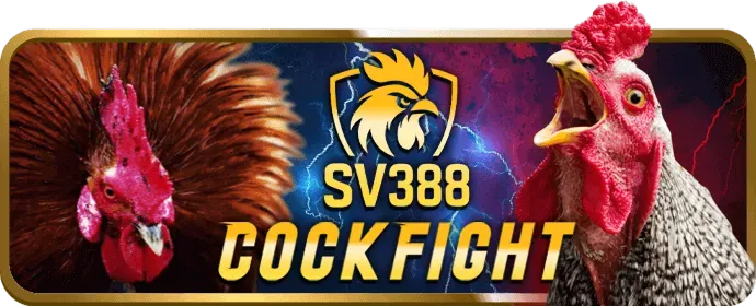 Sòng bạc trực tiếp 29tg88